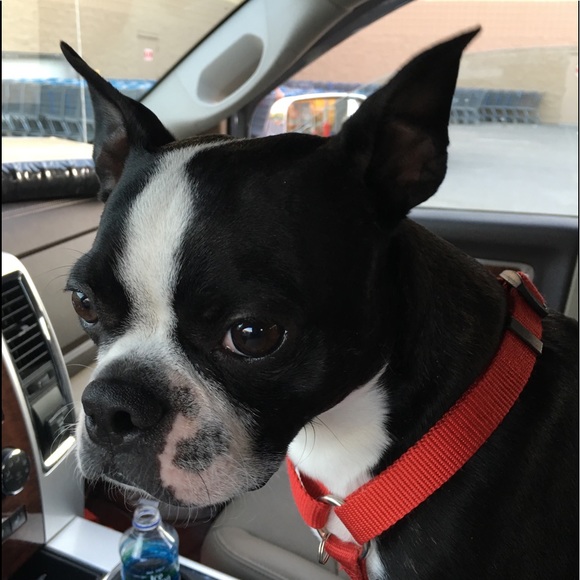 Meet your Posher, D- - Picture 3 of 3